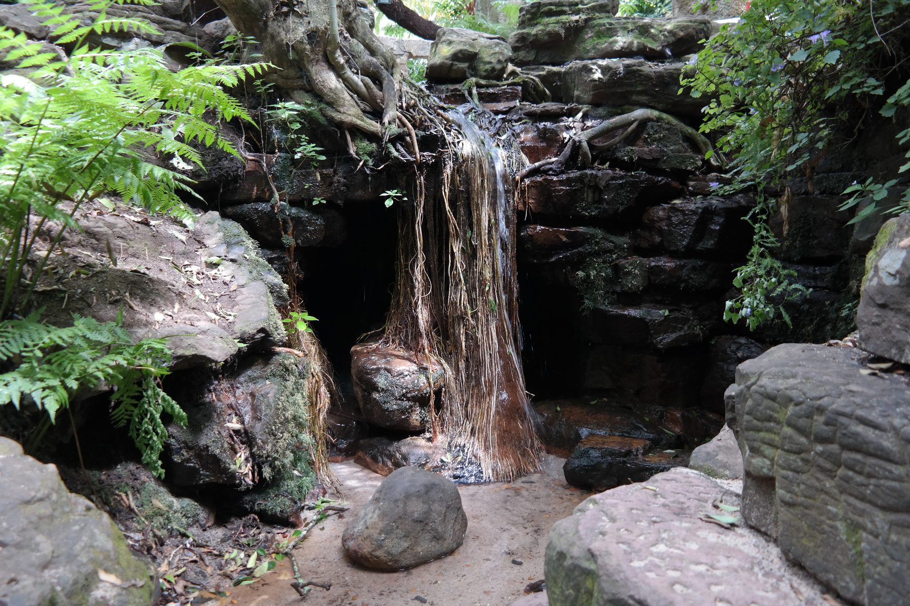 Kirstenbosch National Botanical Garden